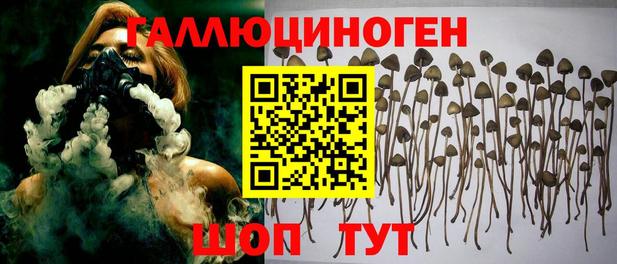 Азнакаево  Псилоцибиновые грибы мицелий  Вход с VPN  Галлюциногенные грибы Psilocybine cubensis 